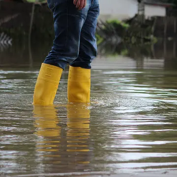 Emergency Restoration